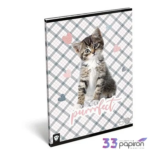 Füzet tűzött A4 kockás  Kis Bagoly, Purrrfect