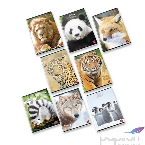 Füzet tűzött A4 Pigna vonalas Animal World 32lapos iskolaszezonos termék