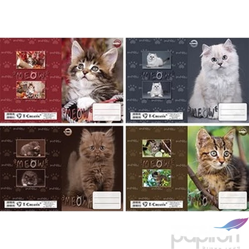 Füzetborító A5 Kitten'23 T-Creativ bújtatós tankönyv és füzetborító kollekció