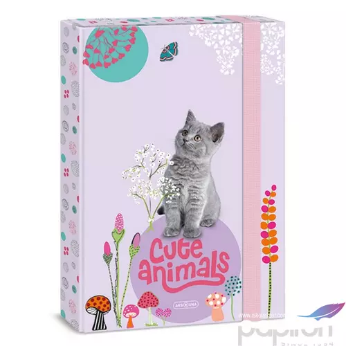 Füzetbox A4 Ars Una 24' Cute Animals-kitten(5368) cica 50853687