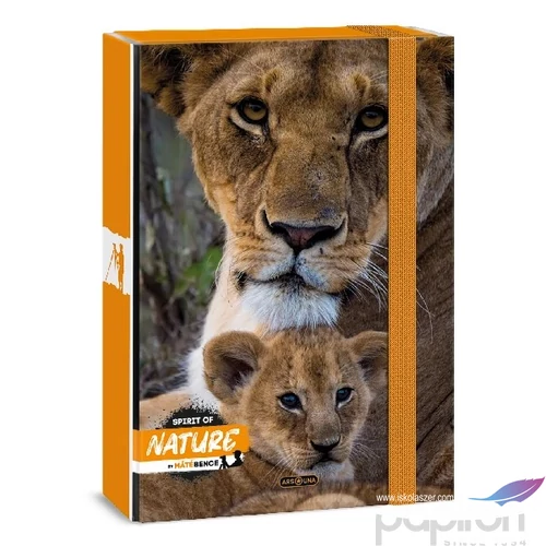 Füzetbox A4 Ars Una 24' Máté Bence-Lion (5433) Prémium minőség