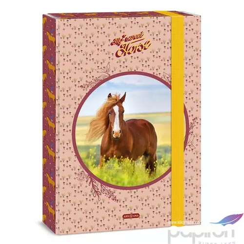 Füzetbox A4 Ars Una 24' My Sweet Horse (5358) ló 50853588