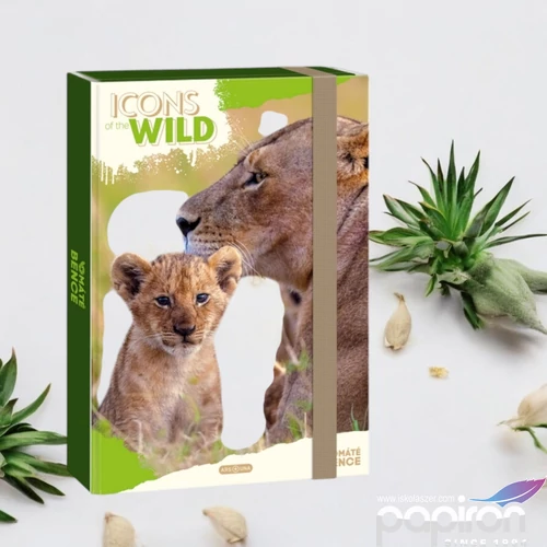 Füzetbox A4 Ars Una 25 Icons Of The Wild-Lions (5504) 25 oroszl 50855049
