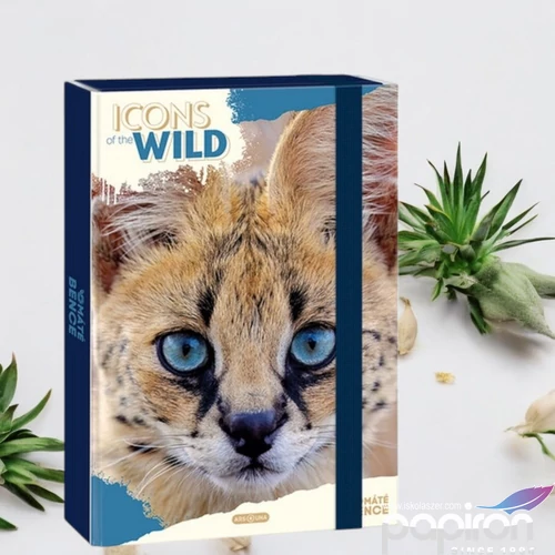 Füzetbox A4 Ars Una 25 Icons Of The Wild-Serval (5503) 25 50855032