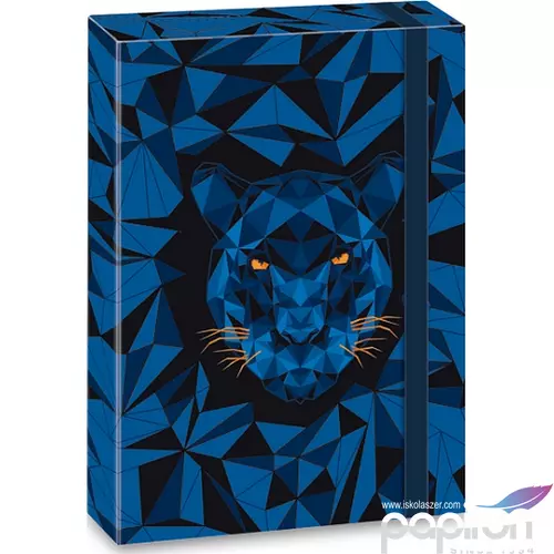 Füzetbox A4 Ars Una Black Panther (5082) 21 50850822 prémium