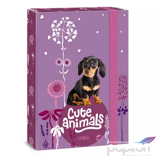 Füzetbox A4 Ars Una Cute Animals puppy(5369) 24 TACSKÓ 50853694 prémium