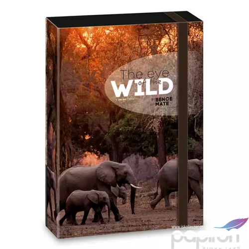 Füzetbox A4 Ars Una The Eyes Of The Wild - Elephant (5217) 2 50852178 prémium