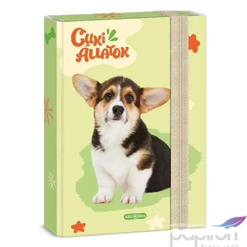 Füzetbox A5 Ars Una 24' Cuki-Welsh Corgi (5432) 50864324