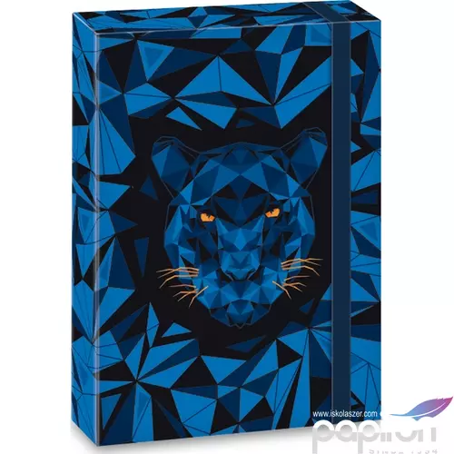 Füzetbox A5 Ars Una Black Panther (5082) 21 50860821 prémium