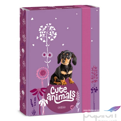 Füzetbox A5 Ars Una Cute Animals puppy(5369) 24 TACSKÓ 50863693 prémium