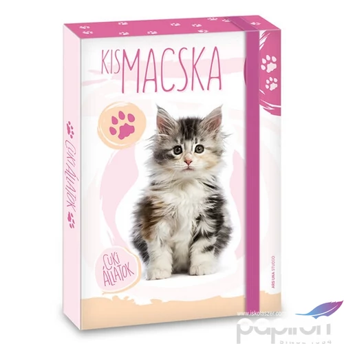 Füzetbox A5 Ars Una Cuki-Macska (5106) 21 50861064 prémium