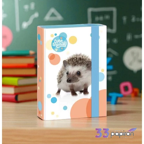 Ars Una A5 Füzetbox 23' Cuki-Sün 50863075 prémium minőség