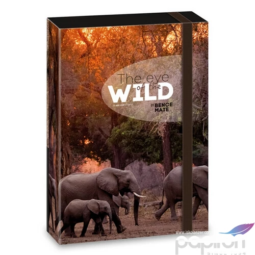 Füzetbox A5 Ars Una The Eyes Of The Wild - Elephant (5217) 2 50862177 prémium