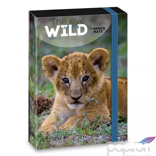 Füzetbox A5 Ars Una The Eyes Of The Wild - Lion (5216) 22 50862160 prémium