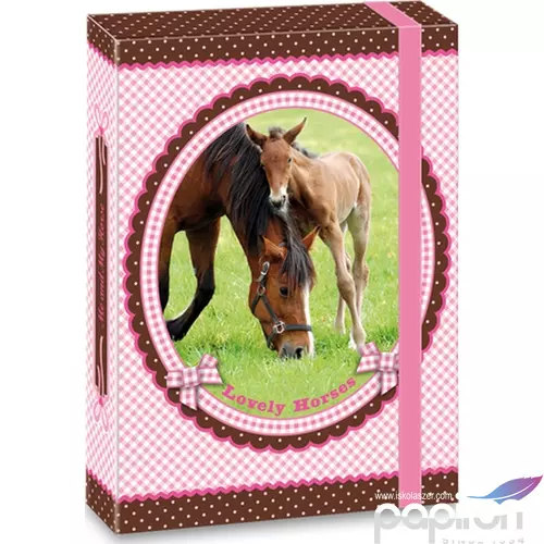 Füzetbox A5 Ars Una Lovely Horses - lovas 14' Ars Una 90866784 prémium