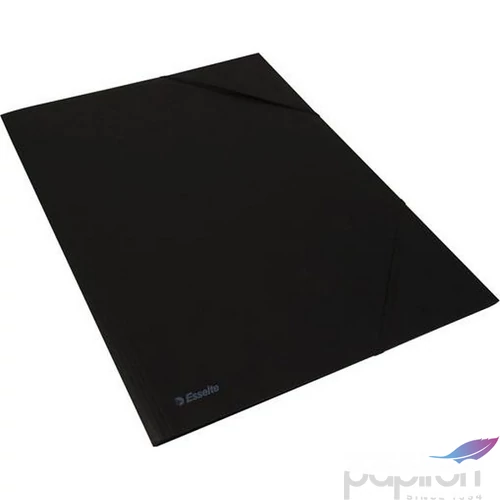 Gumis mappa A3 Esselte karton, fekete E623409