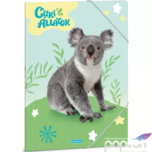 Gumis mappa A4 Ars Una 24' Cuki-Koala (5428) Prémium minőség