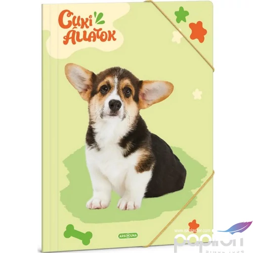 Gumis mappa A4 Ars Una 24' Cuki-Welsh Corgi (5432) 50214327