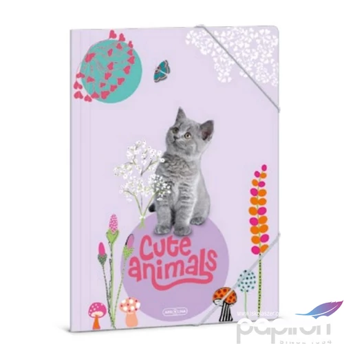 Gumis mappa A4 Ars una 24' Cute Animals-kitten (5368) cica 50213689