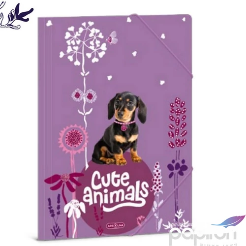 Gumis mappa A4 Ars una 24' Cute Animals-puppy (5369) TACSKÓ 50213696