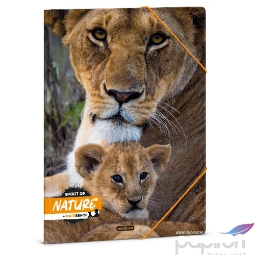 Gumis mappa A4 Ars Una 24' Máté Bence-Lion (5433) 50214334