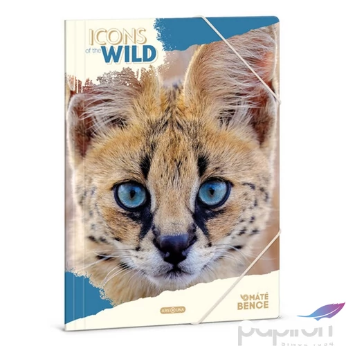 Gumis Mappa A4 Ars Una 25 Icons Of The Wild-Serval (5503) 25 50215034