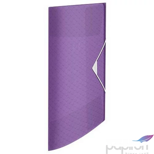 Gumis mappa A4 Esselte 15mm, PP, Colour`Breeze, levendula E628440