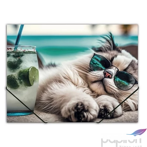 Gumis mappa A4 Panta Plast 15mm, PP, Chillout cat INP0410006454