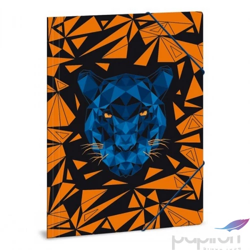 Gumis mappa A4 párducos Black Panther 21' 50210824 prémium, gumis dosszié