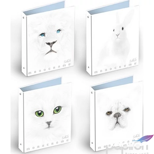 Gumis mappa A/4 Pigna Monocromo White