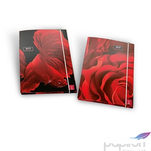 Gumis mappa A/4 Pigna Red Shiver 02303463L