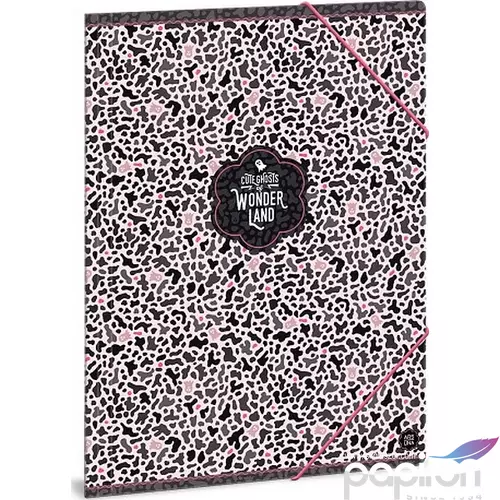 Gumis mappa A4 pink Wonderland ghost - pink 19' Ars Una 90219436 prémium, gumis dosszié