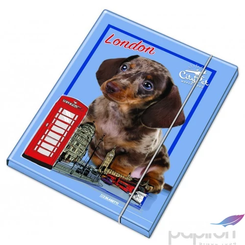Gumis mappa BRUNNEN  A/4  PP   Ninja  024    1041604