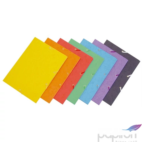Gumis mappa A4 Donau Premium prespán lila Iratrendezés DONAU 8643080-23PL