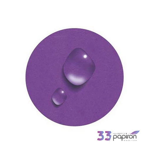 Gumis mappa karton A4 EXACOMPTA Iderama