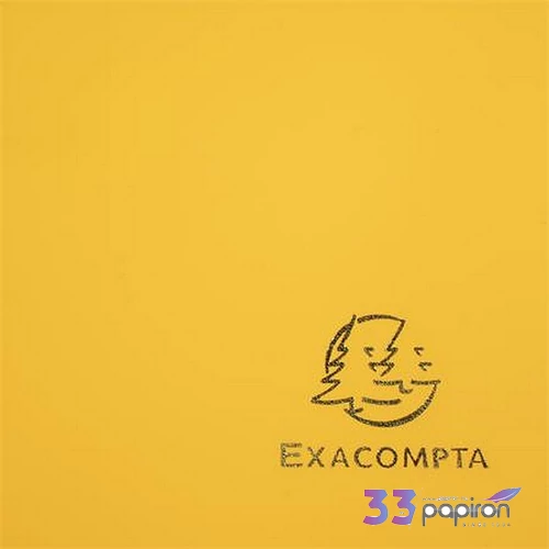 Gumis mappa PP A4 EXACOMPTA Opak