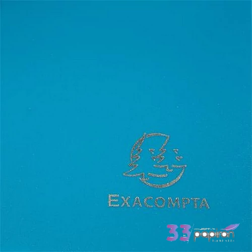 Gumis mappa PP A4 EXACOMPTA Opak