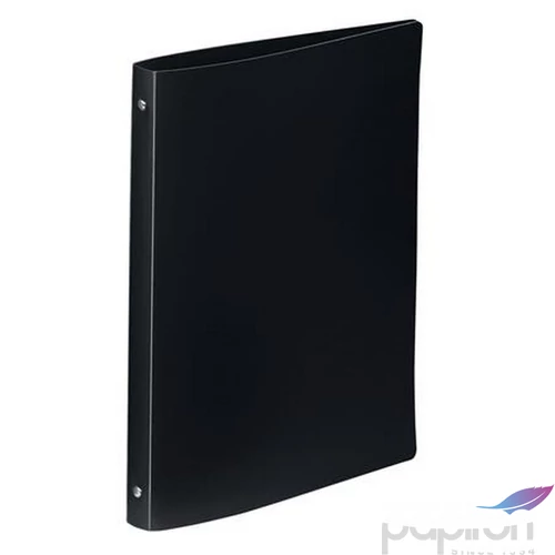 Gyűrűskönyv 4gy VIQUEL Standard 25mm A4 PP fekete Iratrendezés VIQUEL 020905-08