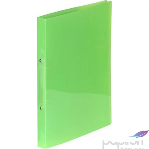 Gyűrűskönyv A4 2gy. 20mm,Viquel PP,Propyglass, zöld IV020273