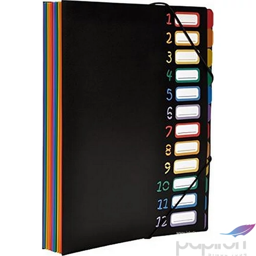 Harmonika mappa VIQUEL Rainbow Class 12rekesz PP gumis fekete VIQUEL 118967-05