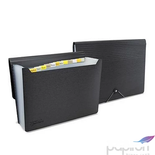 Harmonikamappa A4 PP 13 rekeszes RAPESCO Germ-Savvy  matt fekete