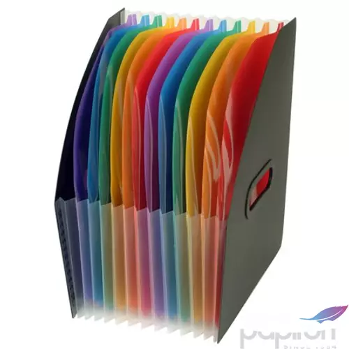 Iratpapucs műanyag VIQUEL Rainbow Class 12részes színregiszteres Iratrendezés VIQUEL 011167-05
