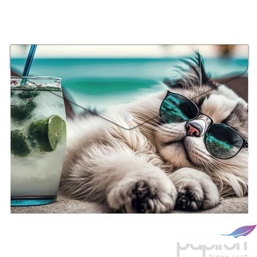 Irattartó tasak A5 Panta Plast PP, patentos 180 mikron Chillout cat INP0410006954