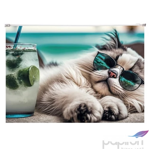 Irattartó tasak A4 Panta Plast PP, cipzáras 180 mikron Chillout cat INP0410006354