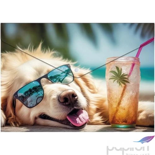 Irattasak A4 Panta Plast PP, patentos, 180 mikron,Chillout dog INP0410006253