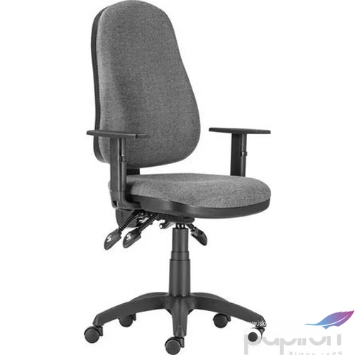 IrodaszékxENIA ASYN Ergonómikus forgószékek LX BA.600 SZÜRKE