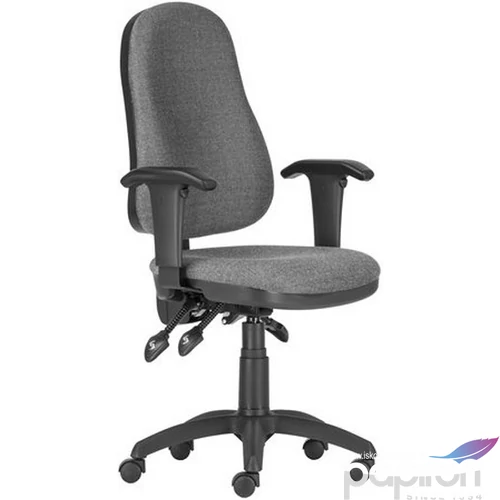 IrodaszékxENIA ASYN Ergonómikus forgószékek XENIA ASYN LX C73