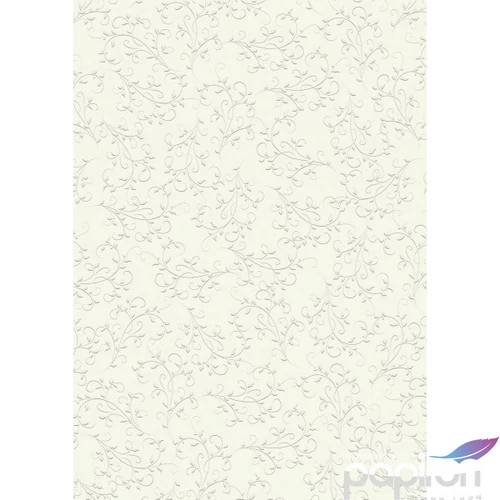 Karton HEYDA A/4 220g nyomott mintás Firenze pezsgő 