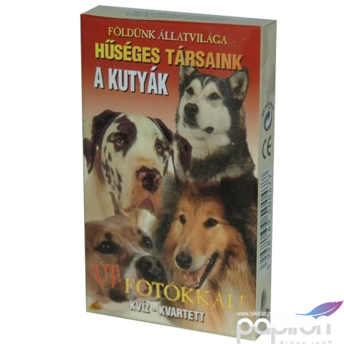 Kártya A kutyák hűséges társaink új fotókkal