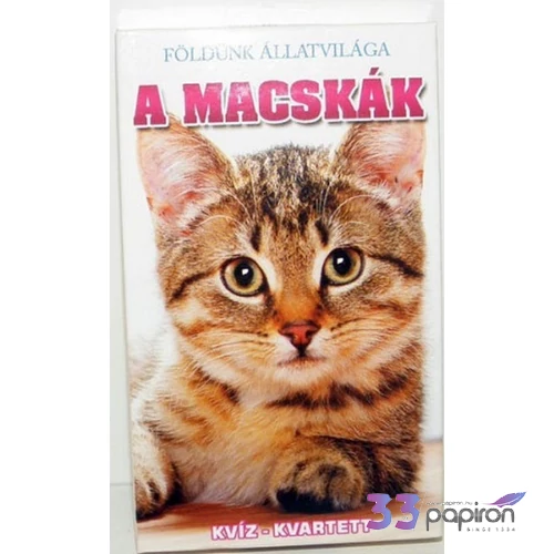 Kártya A macskák